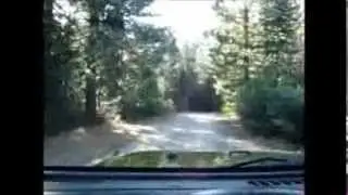 Abandoned Cabin Adventure