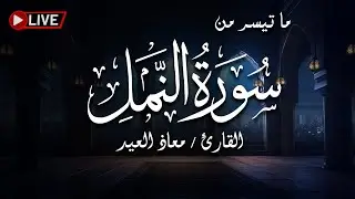 من أكثر المقاطع مشاهدة .. ما تيسر من سورة النمل للقارئ معاذ العيد | بث مباشر