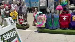 6 Hour Layover at LAX, Los Angeles Spent at Venice Beach 2023   Iconic Venice Beach Walk