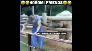 insta@Toosharp_official_YT