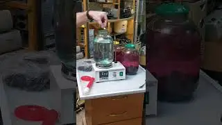 Настойка на ежевике,ускоренный рецепт!