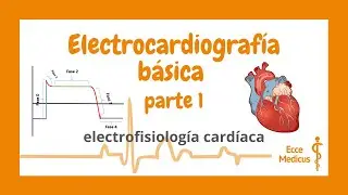 Electrocardiografía básica: 1 - electrofisiología cardíaca.