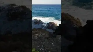 The Blowhole