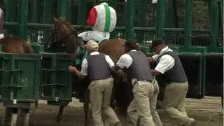 Saratoga All Access: Starting Gate Schooling and Gate Crew