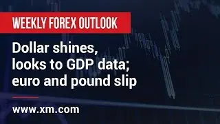 Weekly Forex Outlook: 19/04/2019 - Dollar shines, looks to GDP data; euro and pound slip