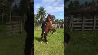 Se aventurando 🤪