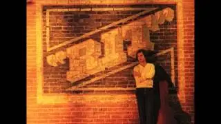 Lee Ritenour - Mr. Briefcase