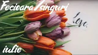 FECIOARA♍❤CEI SINGURI, IULIE. O noua iubire, cu care vei putea construi pe termen lung.