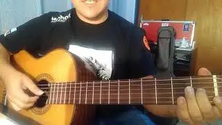 TUTORIAL Zamba 