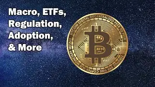 Bitcoin Digest: Latest News & Analysis