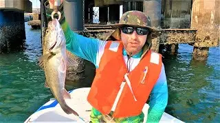 PESCARIA DE ROBALO NO MAR DO JAPÃO