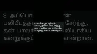 லேவியராகமம் 9 - 8 #tamil #jesus #whatsapp #status #dilay #astrology #trending #story