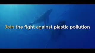 Join the fight against plastic pollution
