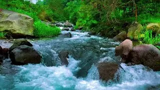 Forest Stream Flowing Sound, Relaxing Waterfall Sounds. Water White Noise for Sleep or Relax.