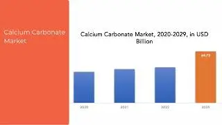 Calcium Carbonate Market | Exactitude Consultancy Reports