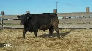 98- Kesslers Deluxe 4350