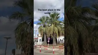 Ushuaia, Playa den bossa, Ibiza #music #ibiza #ushuaia