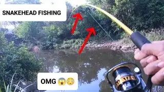 SNAKEHEAD FISHING 🎣 | Fishing Mission Failed or Passed ?.. | Amazing Snakehead fish trap 🪤| Fishing