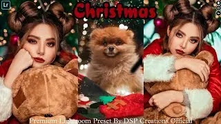 Special Christmas Photography Preset | Lightroom Mobile Presets  XMP Free Download l DSP