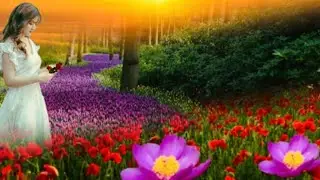 Calm your mind with peaceful and relaxing music / Top Quotes of all time #naturesbeauty