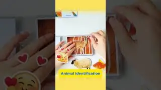 Day 29 | 100 Days of Playing with Your Baby Animal identification game