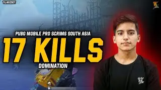 Pro scrims 17 kills Chicken dinner highlights | Iphone 11 | Ex Haitdami pov