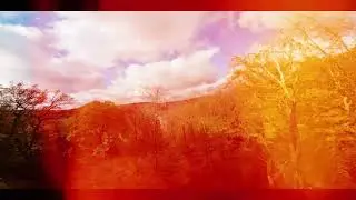 - Querfeldeine - DJI Avata 1  - Acro - Sportmode - Capcut - Artlist -