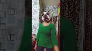 Tiger mask টা পরে মাটির নিচে ঢুকে গেলাম 😭 #shorts #freefire #shortsfeed #viral #trending #funny