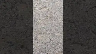 Lake Erie beach