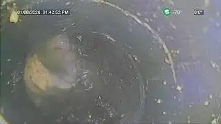 8150 #A107