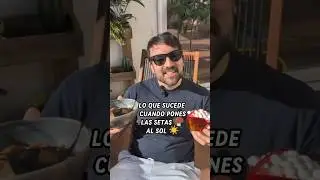 Lo que pasa si pones setas 🍄&zwj;🟫 al sol ☀️