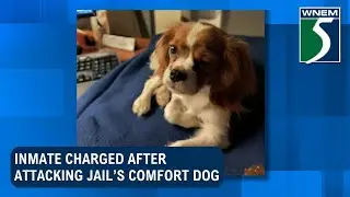 Genesee Co. Jail inmate charged after attacking jail's comfort dog