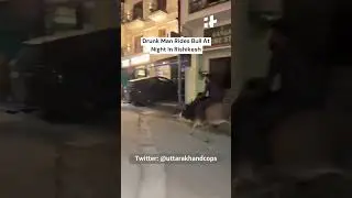 Drunk Man Rides Bull At Night In Rishikesh, Viral Video #Shorts