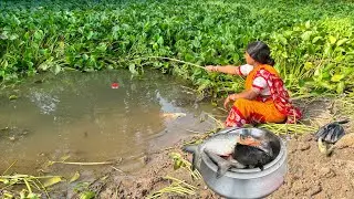 Fishing Video || The village lady knows the necessary bait and methods for fishing in the mud water 