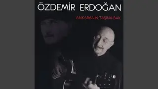 Baharda Kuşlar Gibi