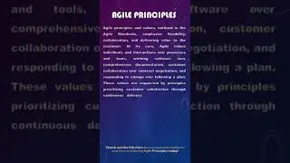 Agile Principles in Project Management?