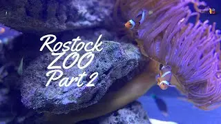 Best Zoo In Europe || Aquarium || Blue Planet || Largest Zoo in Germany || Rostock Zoo || Part - 2