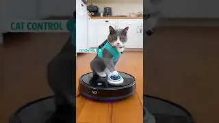 😺 FastBot Pet Vac: Cat-Controlled Robot Vacuum