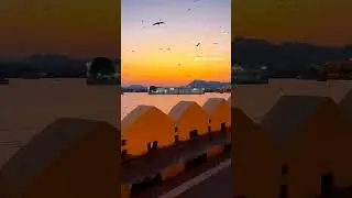 Udaipur's beautiful sunset. #photographytrip #love #scenicroad #song #best #popular #music #shorts.