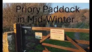 Priory Paddock in midwinter