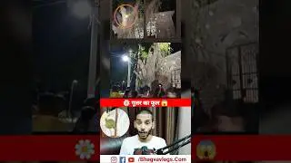 गुलर का फूल🌼😲।। Sycamore Flower #Sycamoreflower #gularkaphool #गुलर #shorts #bhagvavlogs