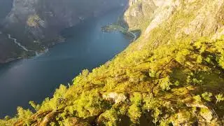 Langfoss 2020