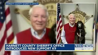 Harnett County Sheriff's Office welcomes new K-9 recruit