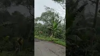 Jalur Bawang Reban kab batang jawa tengah indonesia