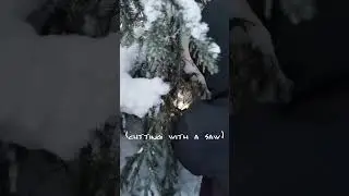 HOLIDAY FUN: O Wild Christmas Tree Hunt 🎄🎅