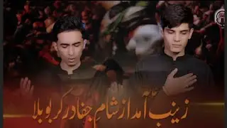 زینب ع آمد از شام جفا  || Zeeshan Haider || Sheroz Ali || Chelom Imam Hussain as || #muharram2023