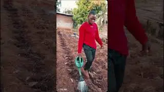 *🌱 CULTURE DU CHOU : UNE ACTIVIT&Eacute; RENTABLE &Agrave; CONNA&Icirc;TRE !