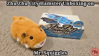 Zhu Zhu Pets City Hamster Unboxing on Mr. Squiggles