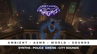 Gotham Knights - Ambient ASMR World Sounds at Moulton Hall