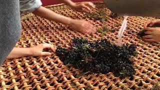 &Eacute;grappage manuel